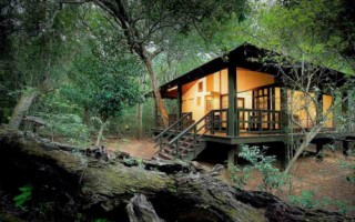 &Beyond Phinda Forest Lodge [320x200]